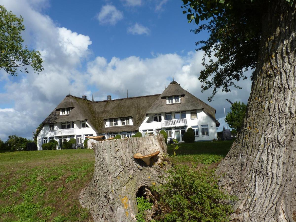 Das Landhaus Am Haff B10 Apartment Stolpe an der Peene Exterior photo